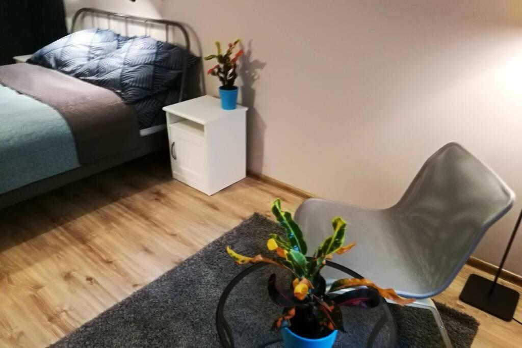 Sophus Respite. Samo Centrum Krakowa Екстер'єр фото